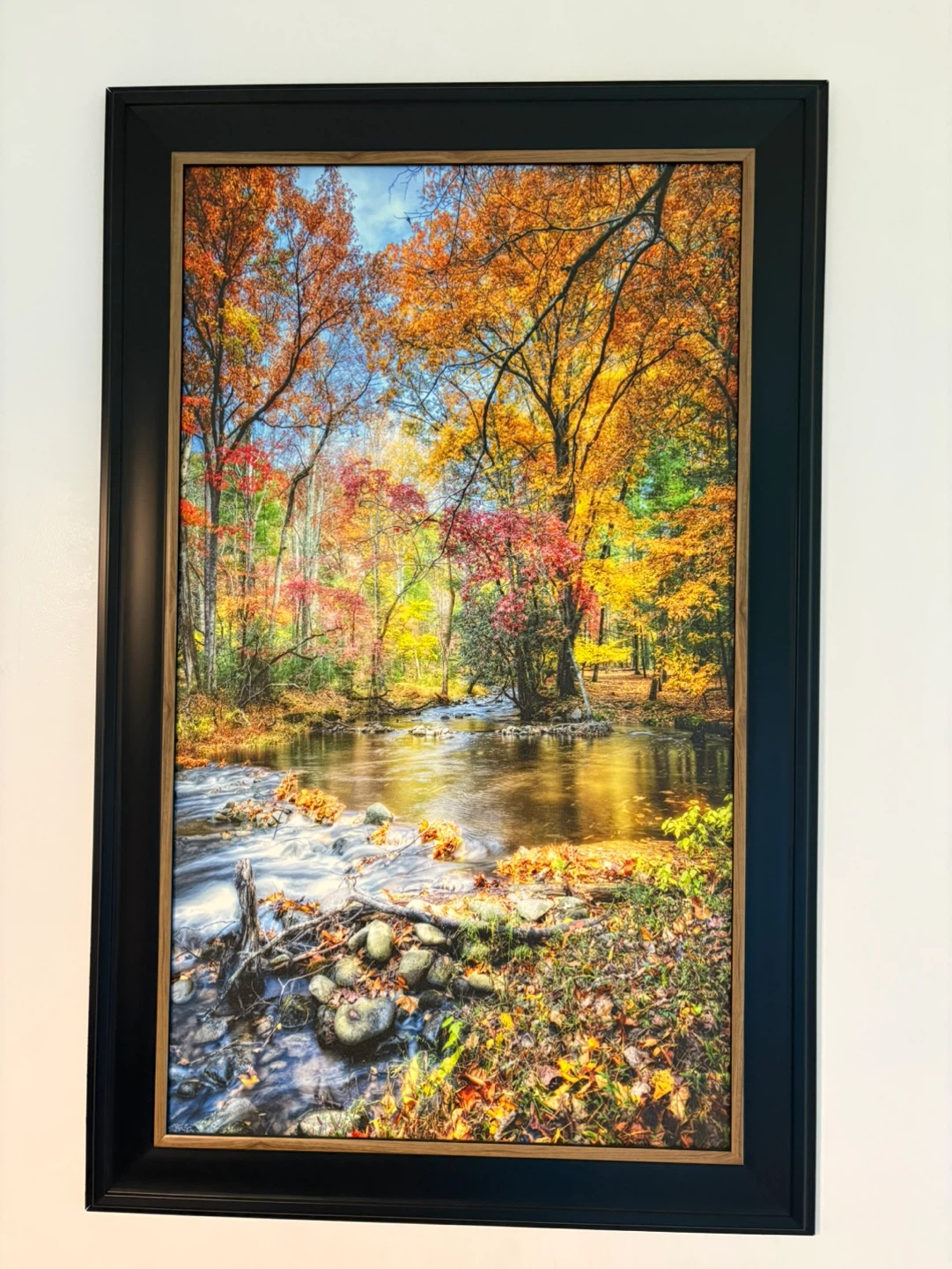 Framed Autumn Forest Landscape Wall Art