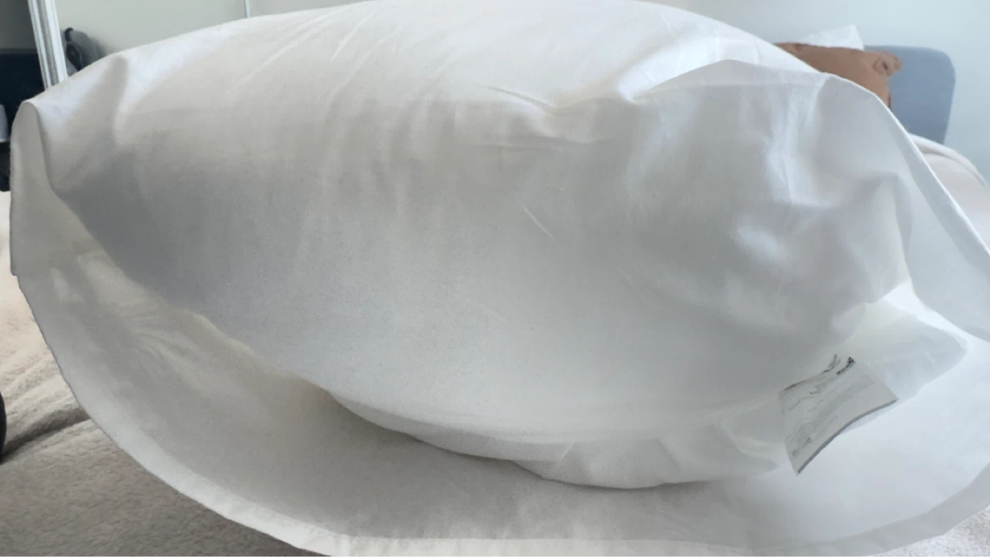 Body pillow and IKEA case 20x54 - photo 2
