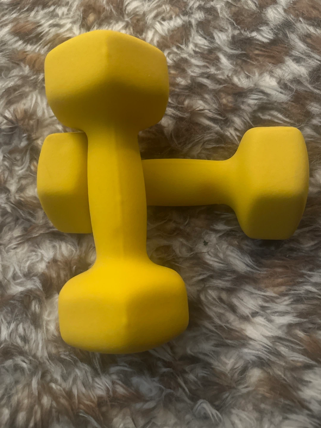 Yellow Dumbbells (Pair)