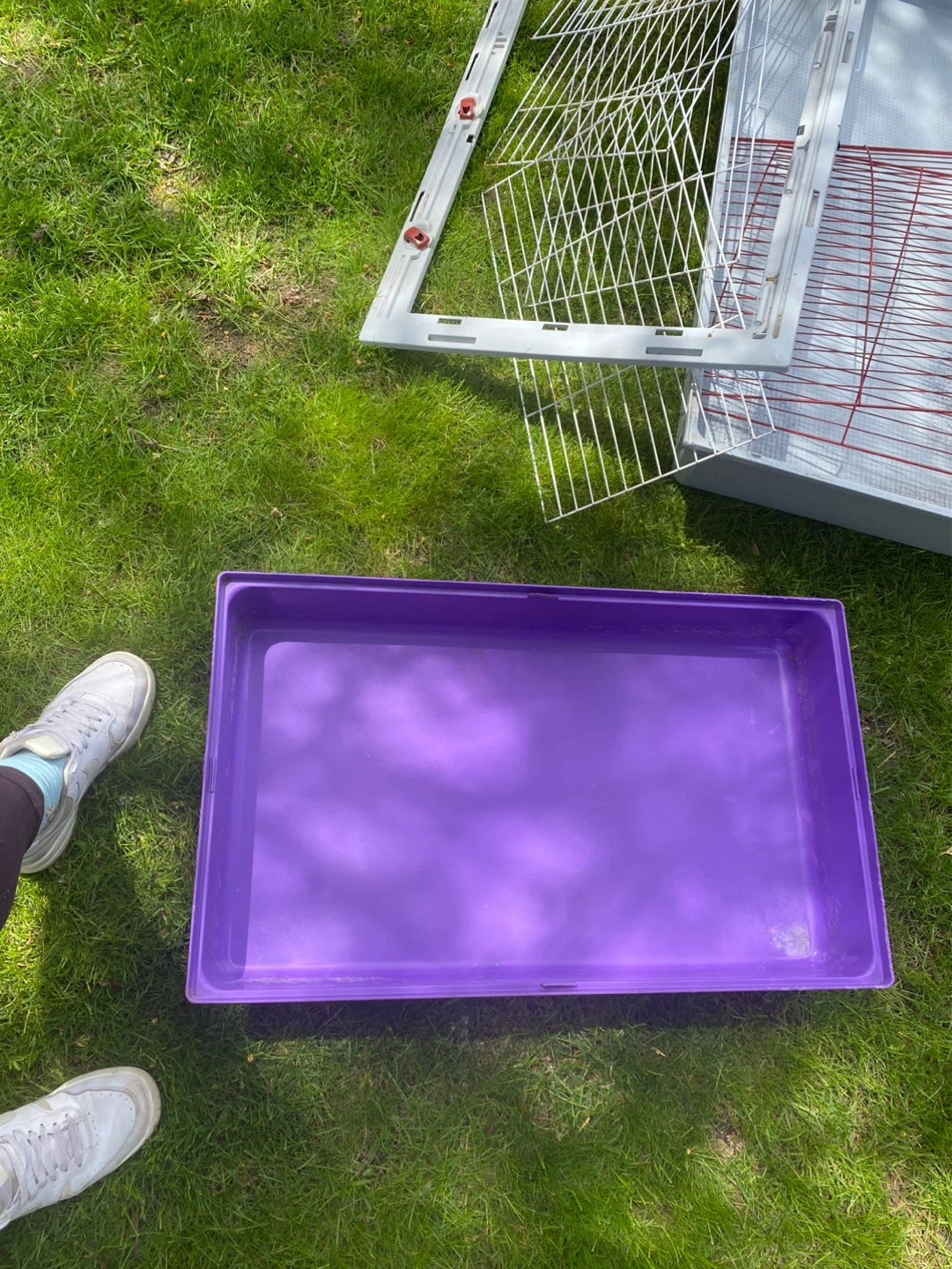 Small Animal Cage with Purple Tray - photo 2
