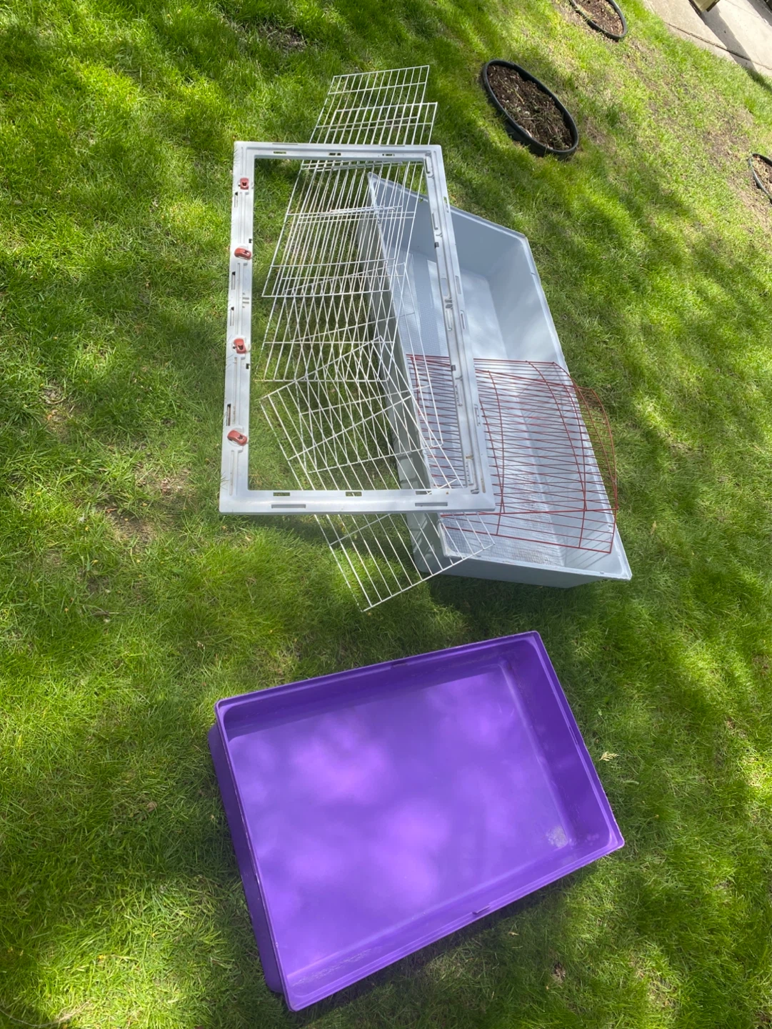 Small Animal Cage with Purple Tray