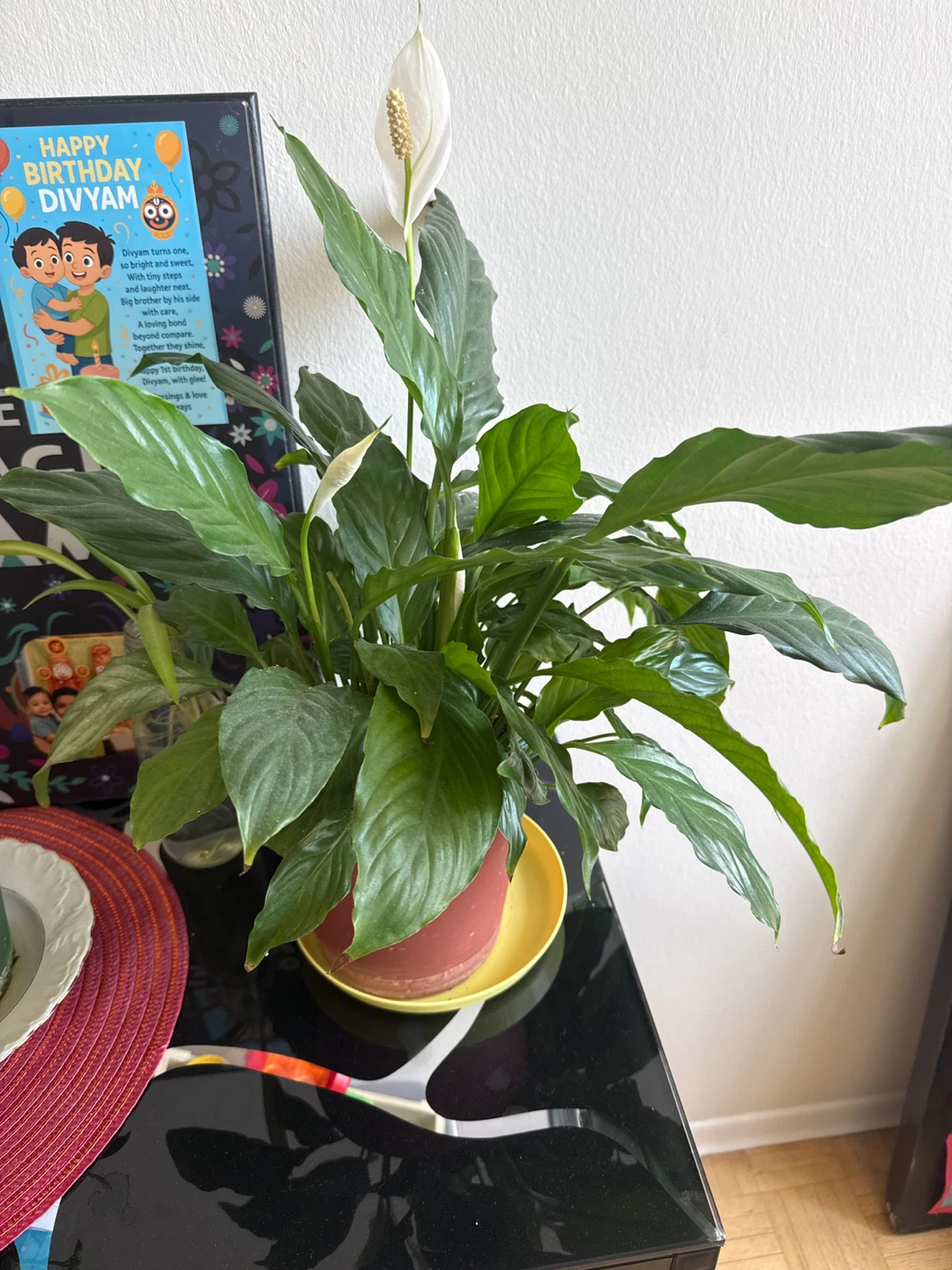 Peace Lily Plant with White Flower - photo 2