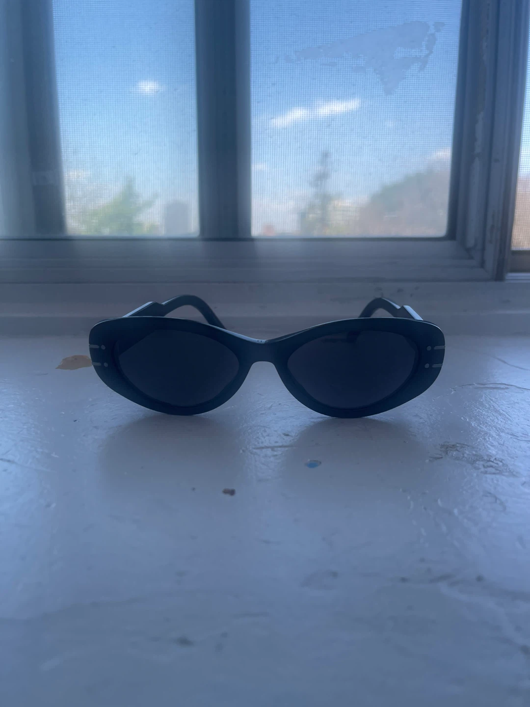 Christian Dior Paris Sunglasses