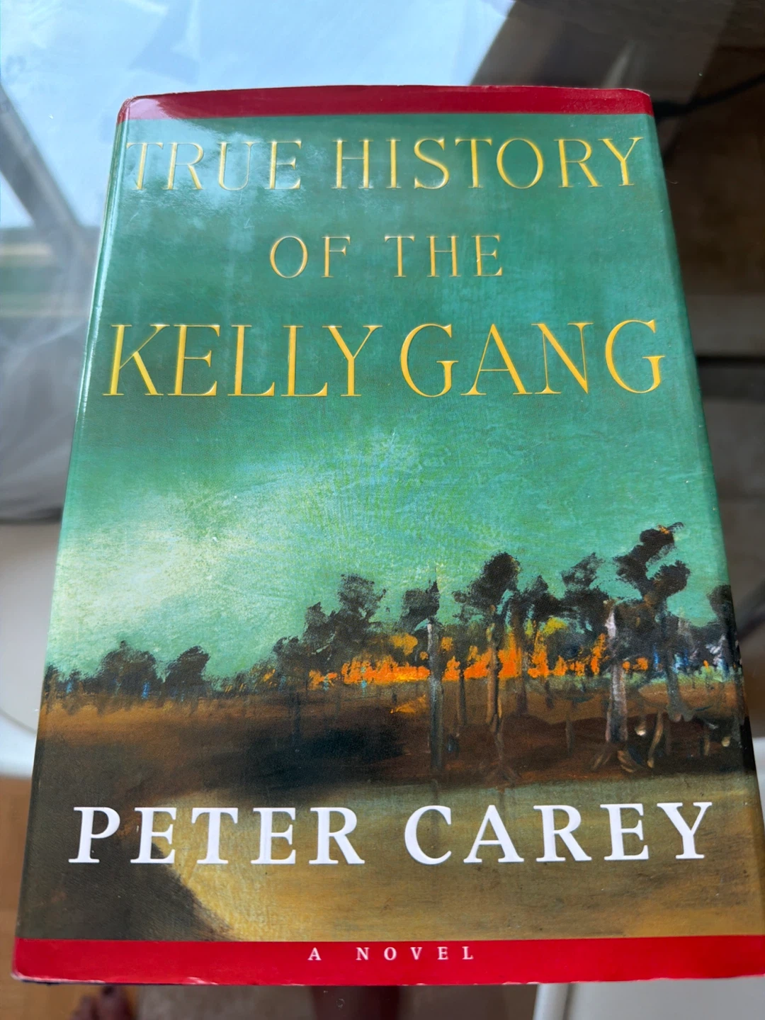True History of the Kelly Gang by Peter Carey Novel