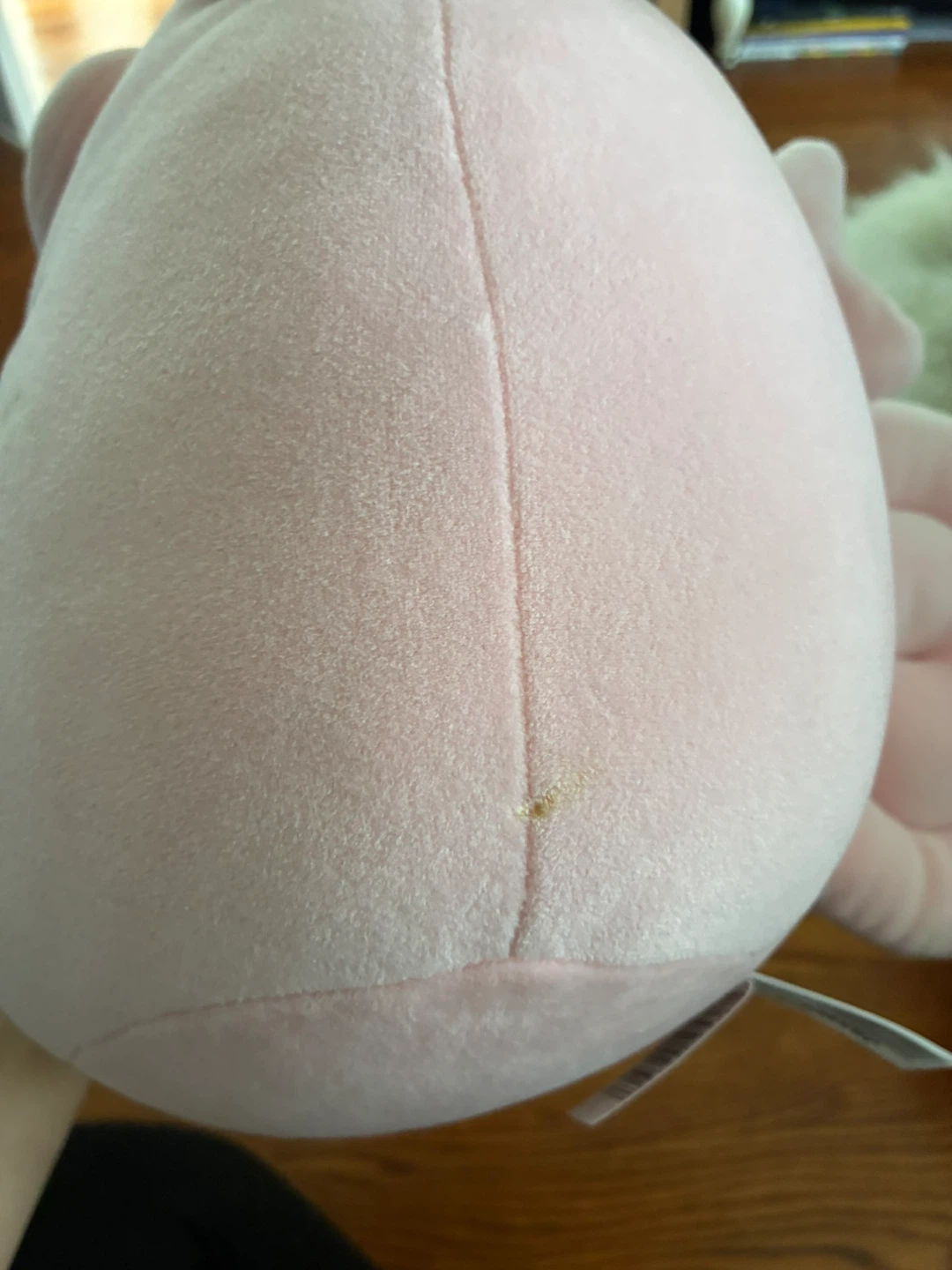Pokémon Squishmallows - photo 4