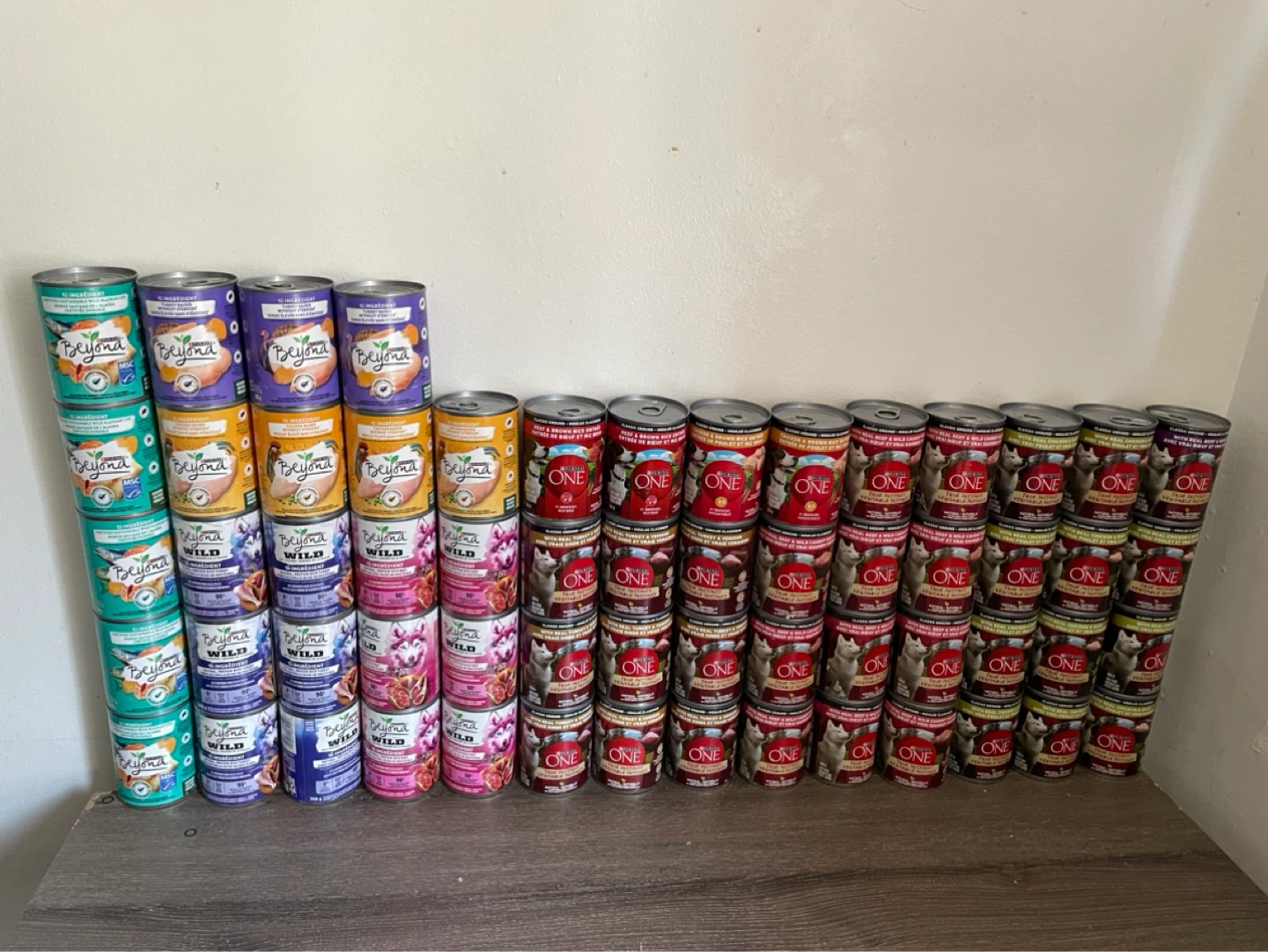 60 Cans Wet Dog Food Lot