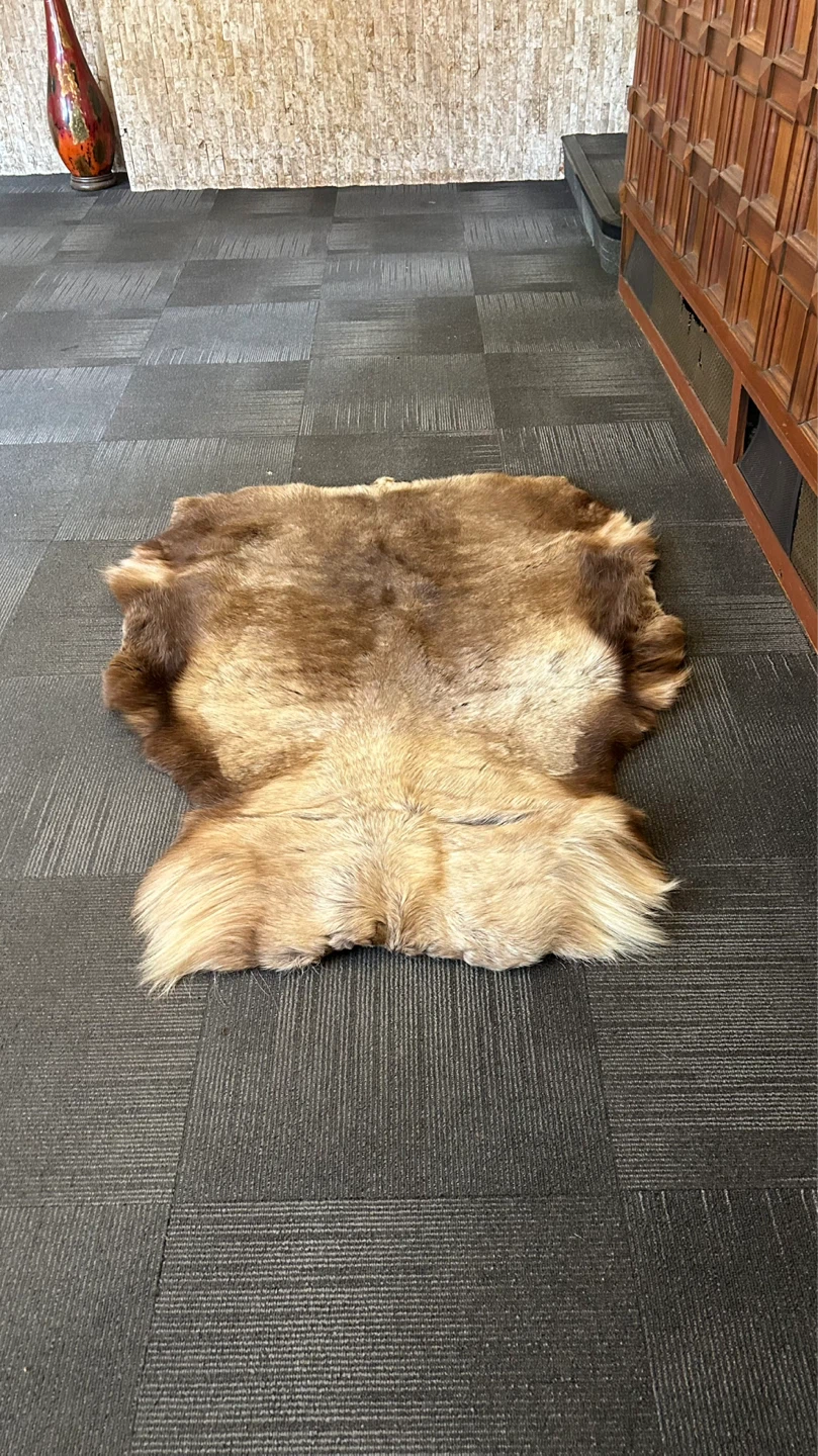 REAL GRISLY HIDE - photo 4