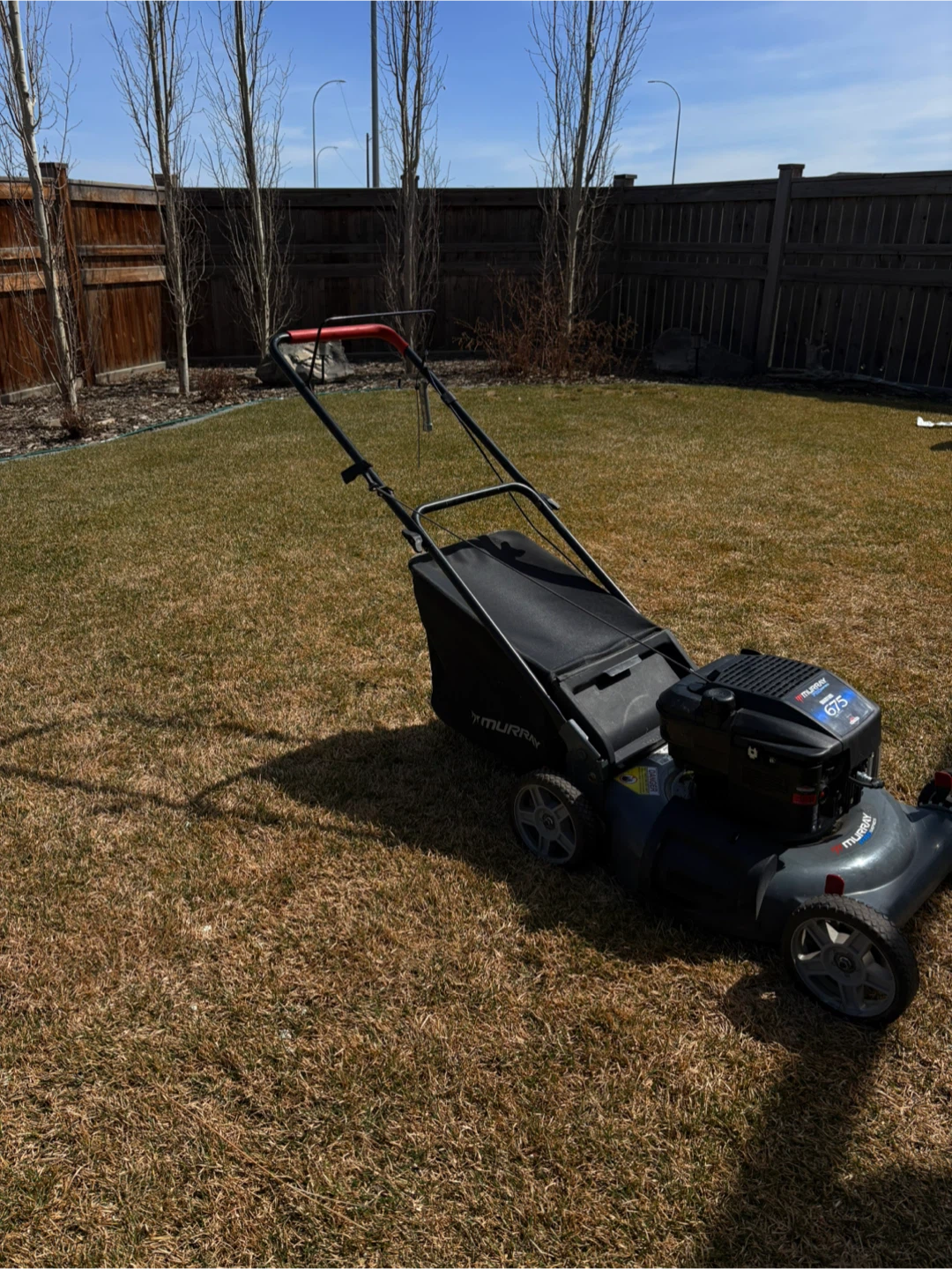 Murray Quantum 675 Push Mower - photo 2