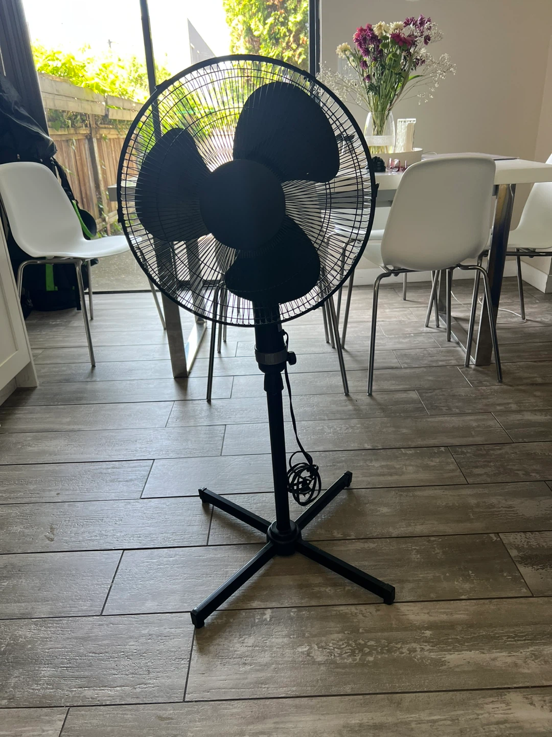 Fan