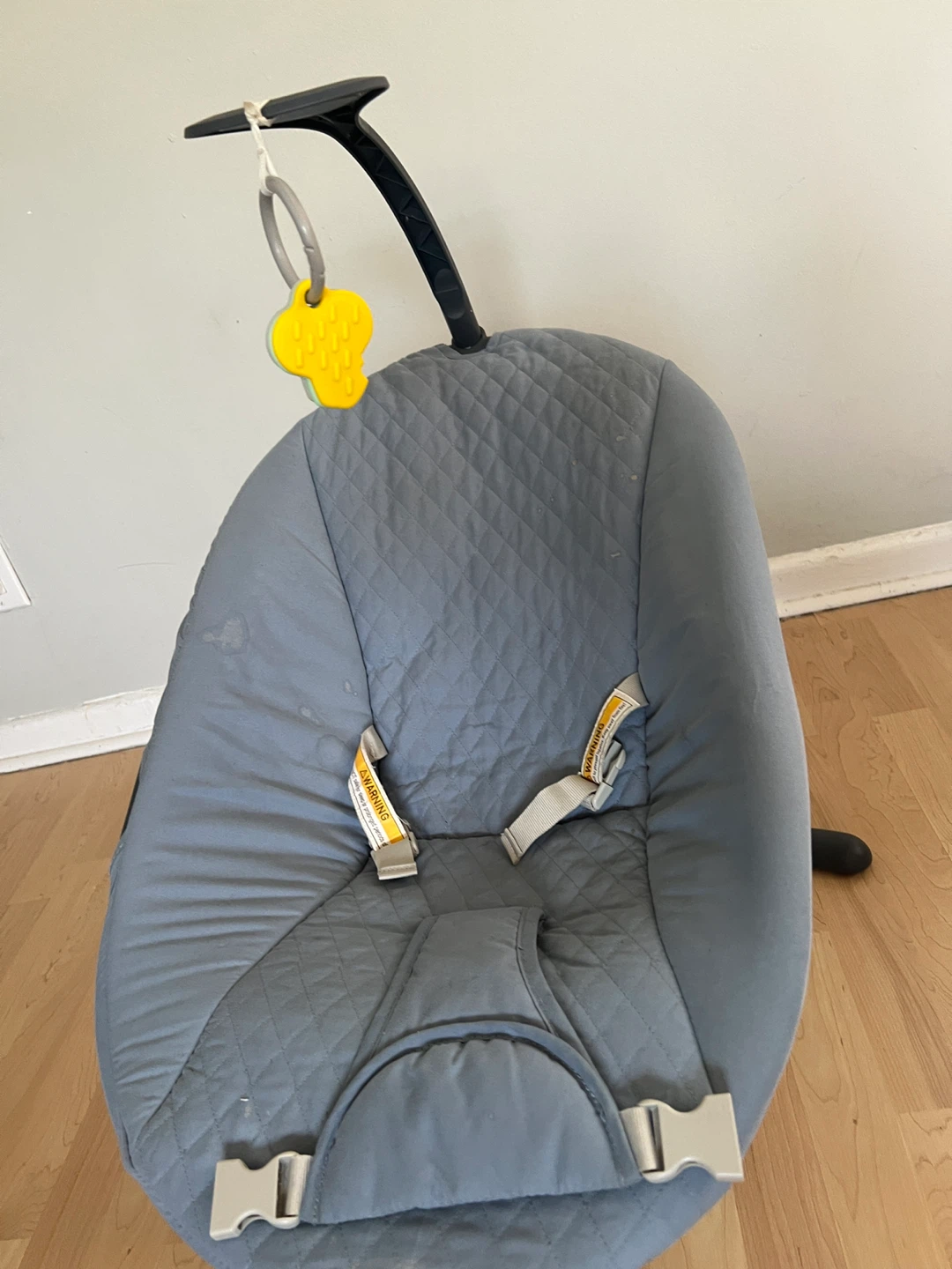 Dream On Me Baby Bouncer with Remote