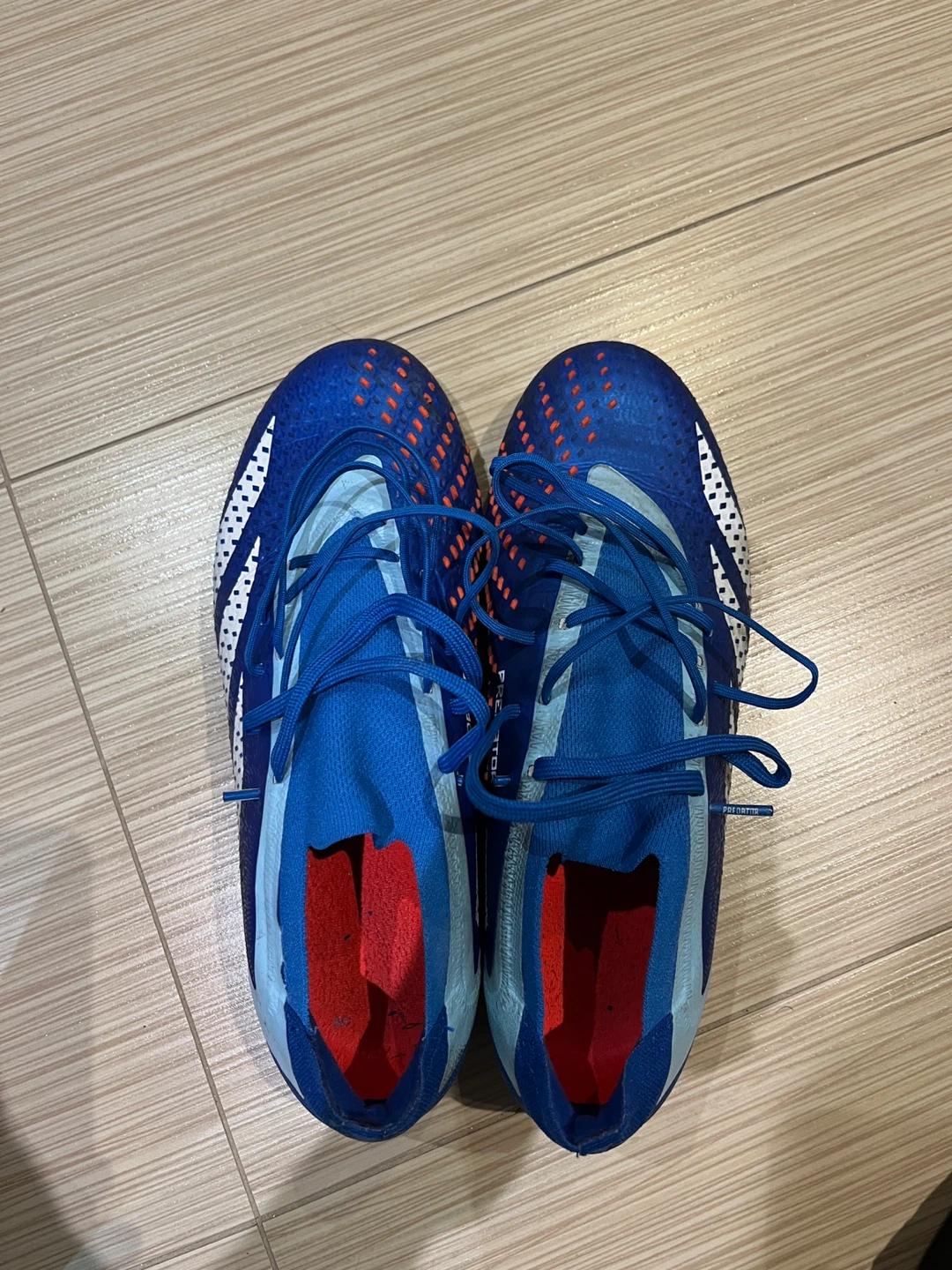 Adidas Predator Cleats with Bag