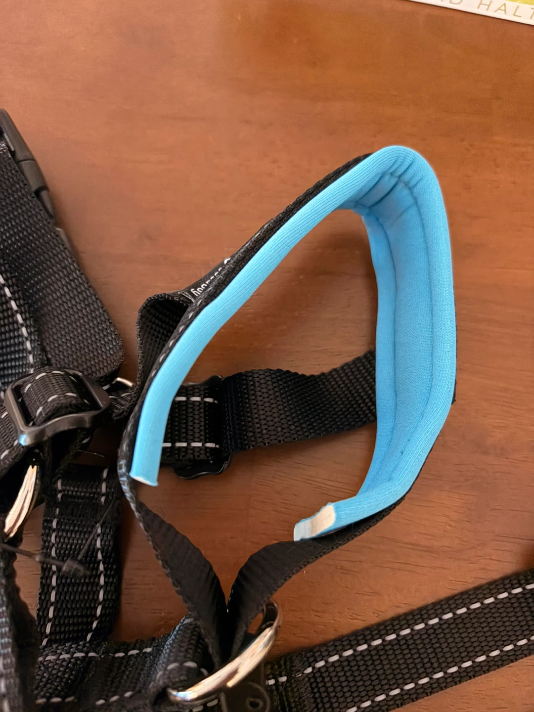 GoodBoy Dog Head Halter - Size 3, Blue - photo 3
