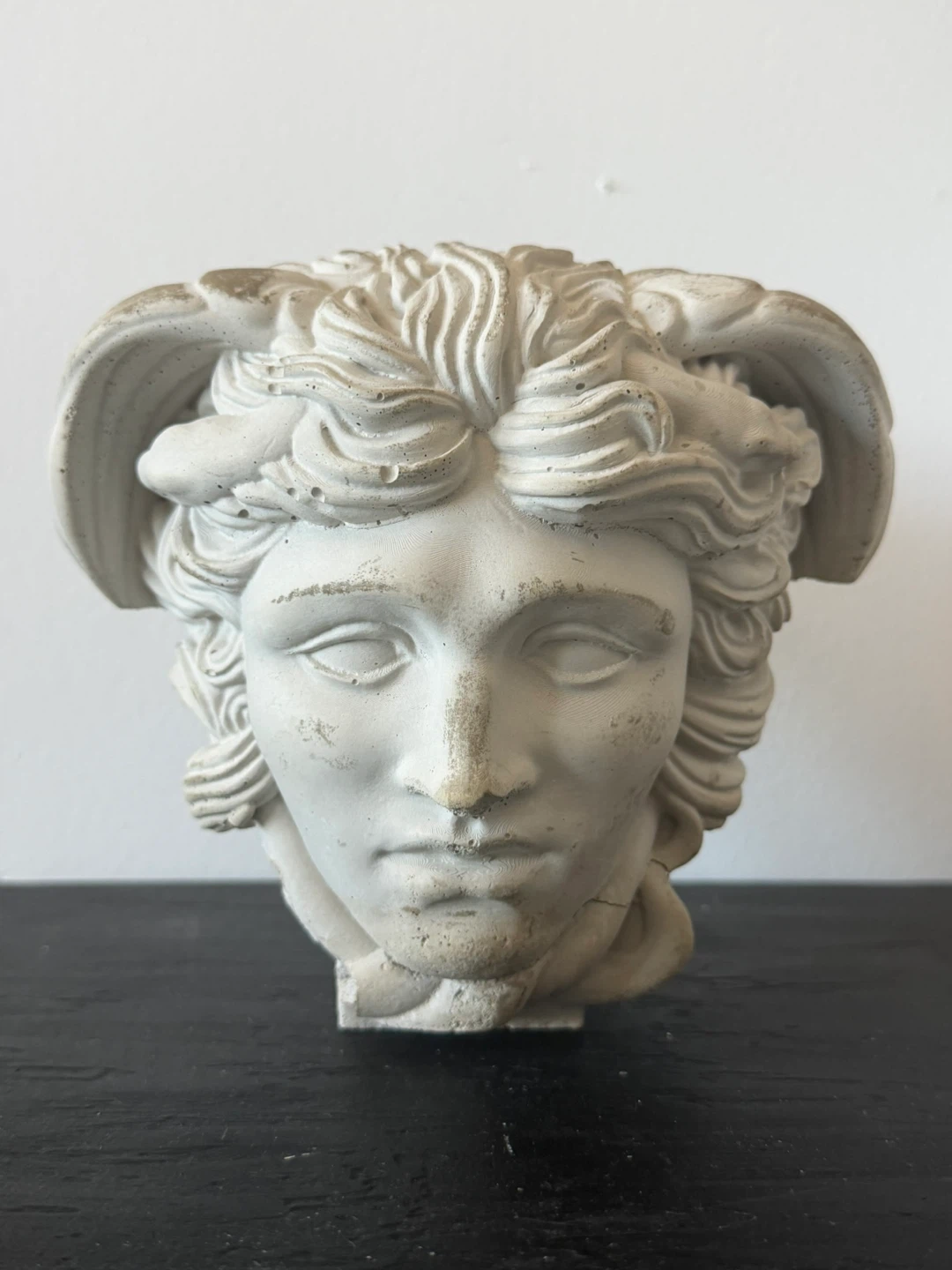 Concrete Bust of Medusa