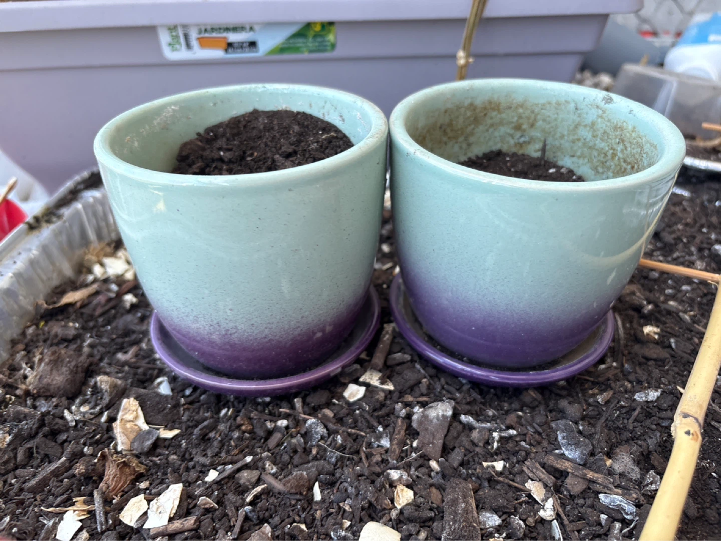 Pair of Ceramic Planters with Saucers - photo 2