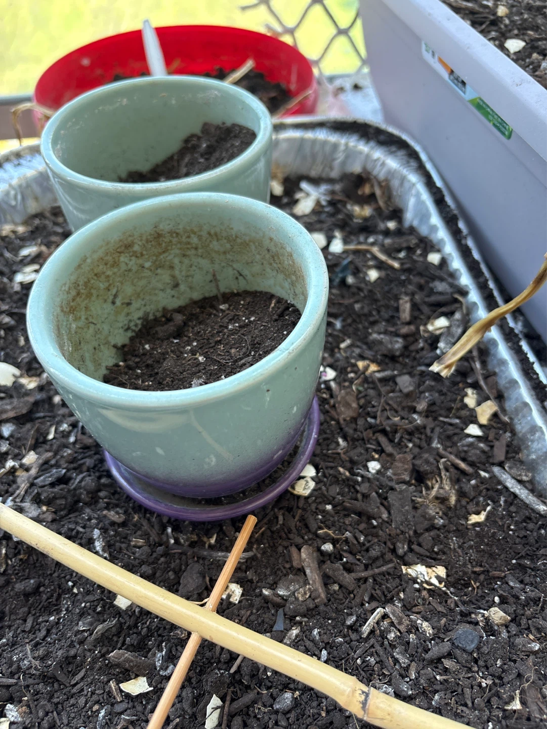 Pair of Ceramic Planters with Saucers - photo 3