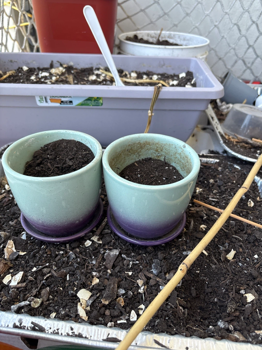 Pair of Ceramic Planters with Saucers