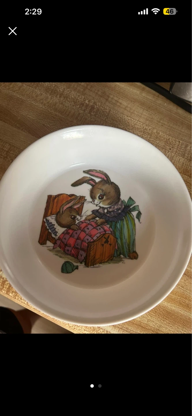 Onida Deluxe Bowl with Bunny Illustration