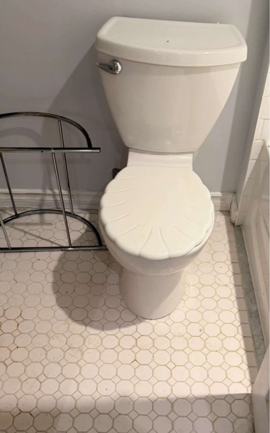 White Toilet Seat not included