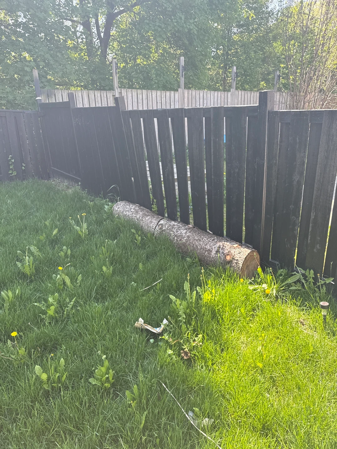 Large log for firewood or projects