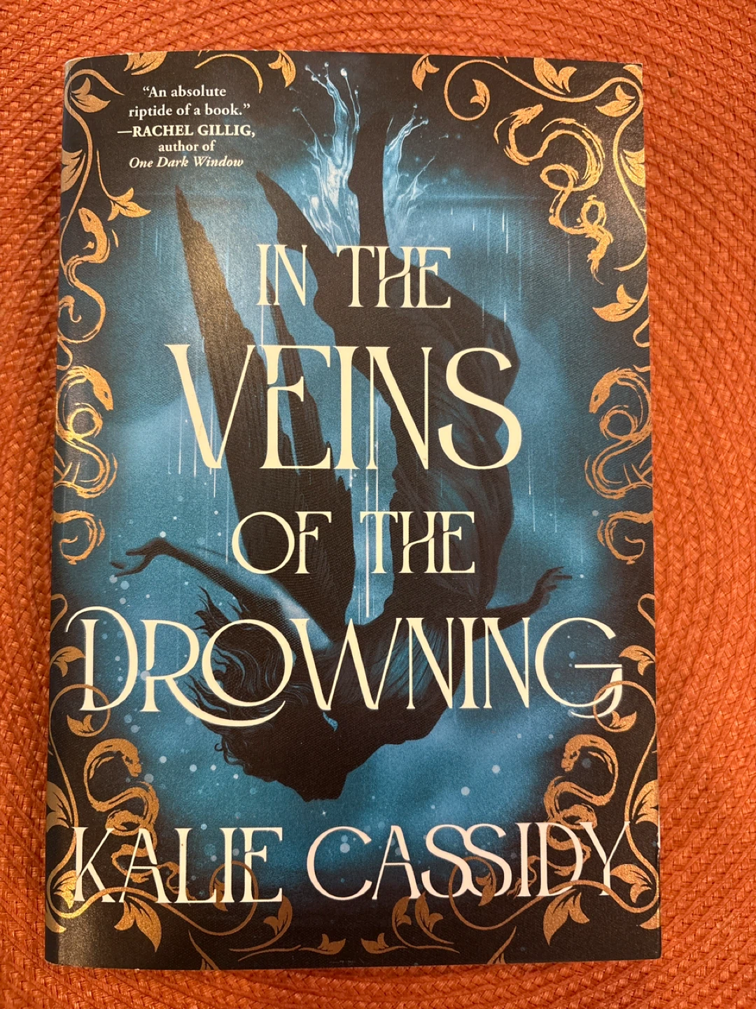 In the Veins of the Drowning by Kalie Cassidy - Book - photo 2
