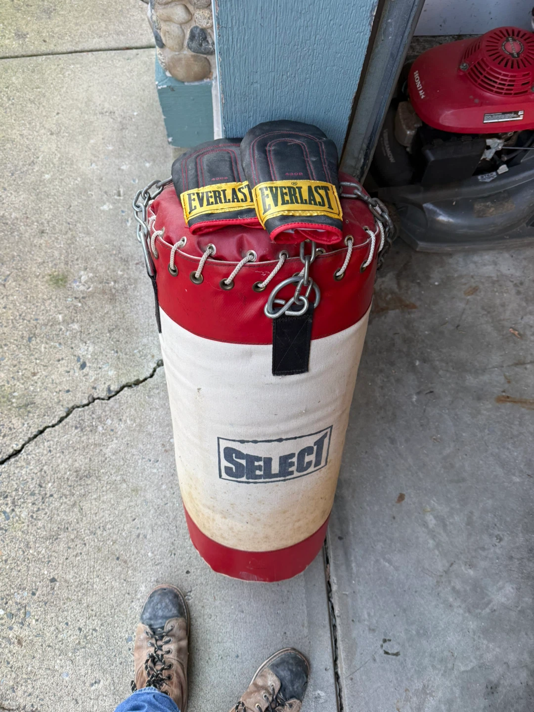 Select Punching Bag with Everlast Gloves