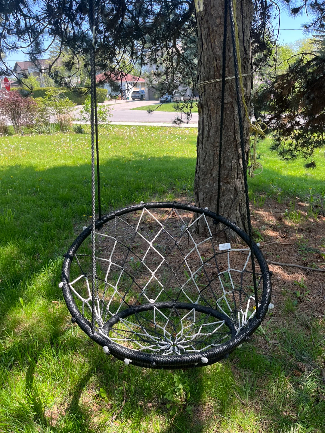 B4 Adventure Swing Chair