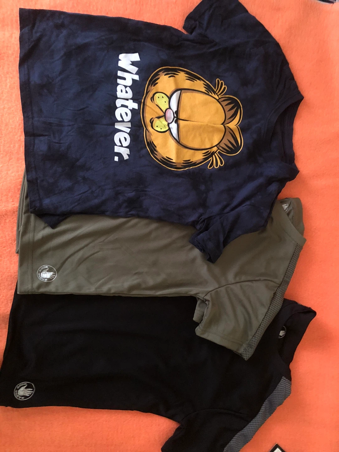 Garfield "Whatever" T-Shirt and Two Boys' T-shirts