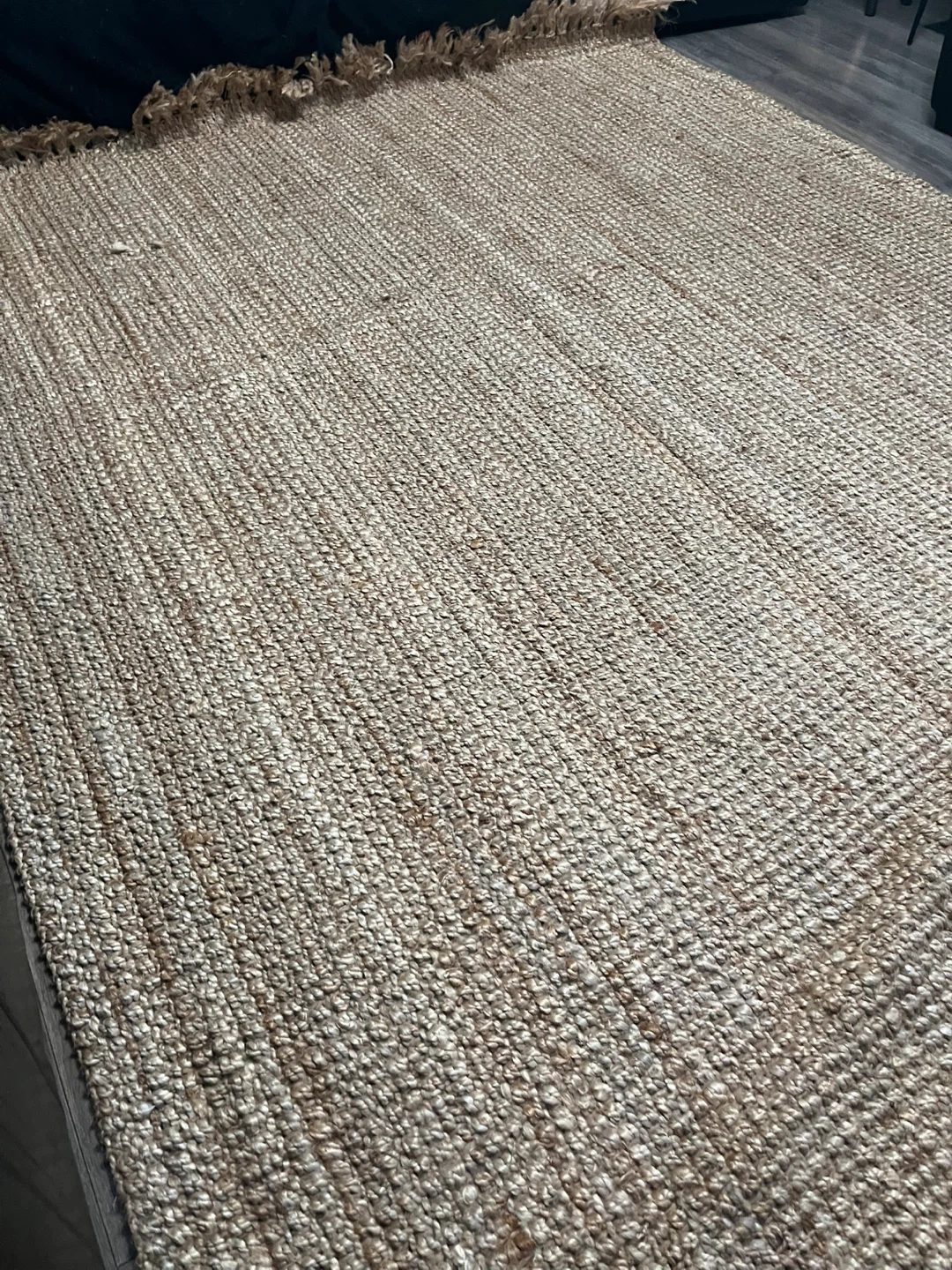 nuLOOM Jute Rug