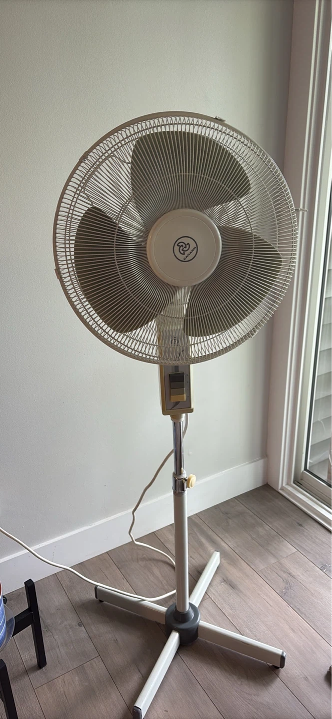 Perfect working condition Stand Fan