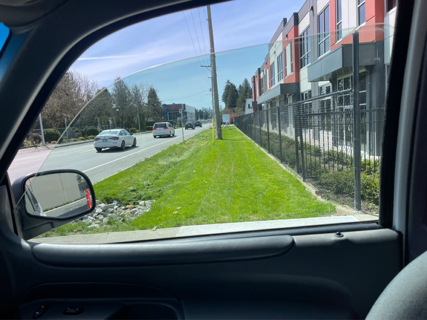 Grass cutt tree triimming