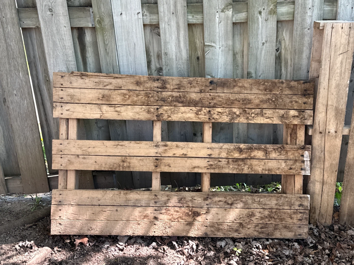Wooden Pallet