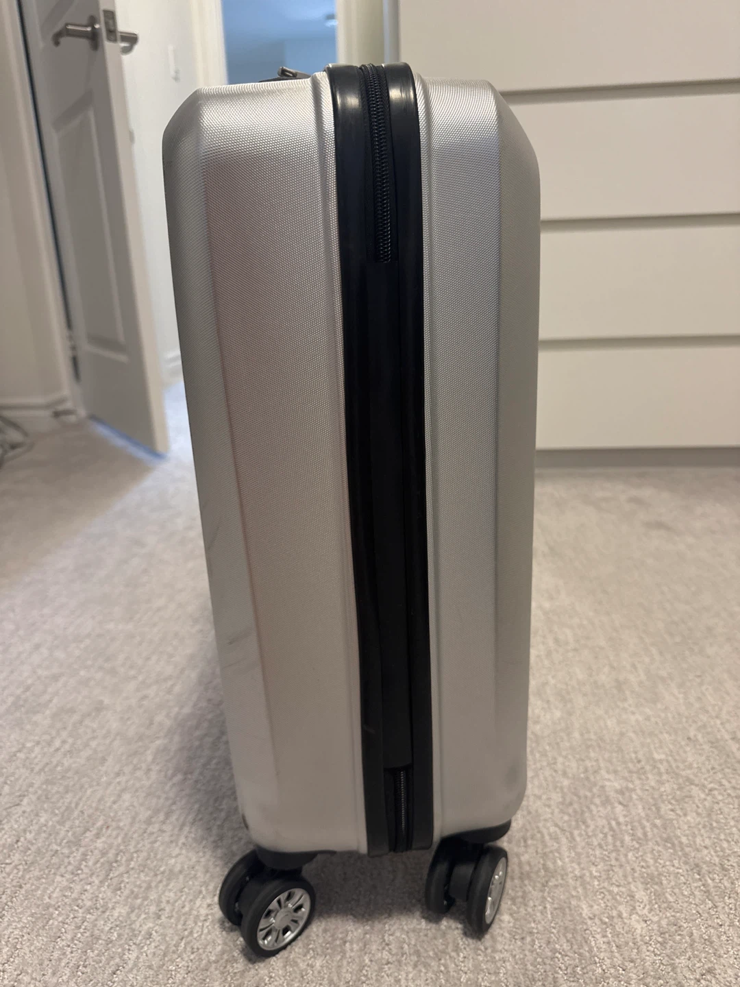 Celine Dion Silver Luggage - photo 3