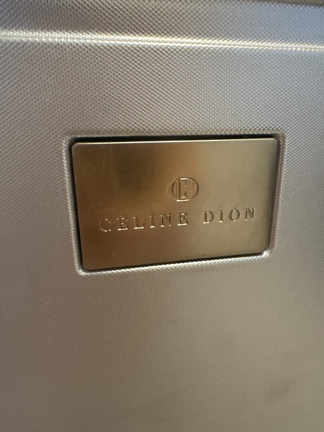 Celine Dion Silver Luggage - photo 2
