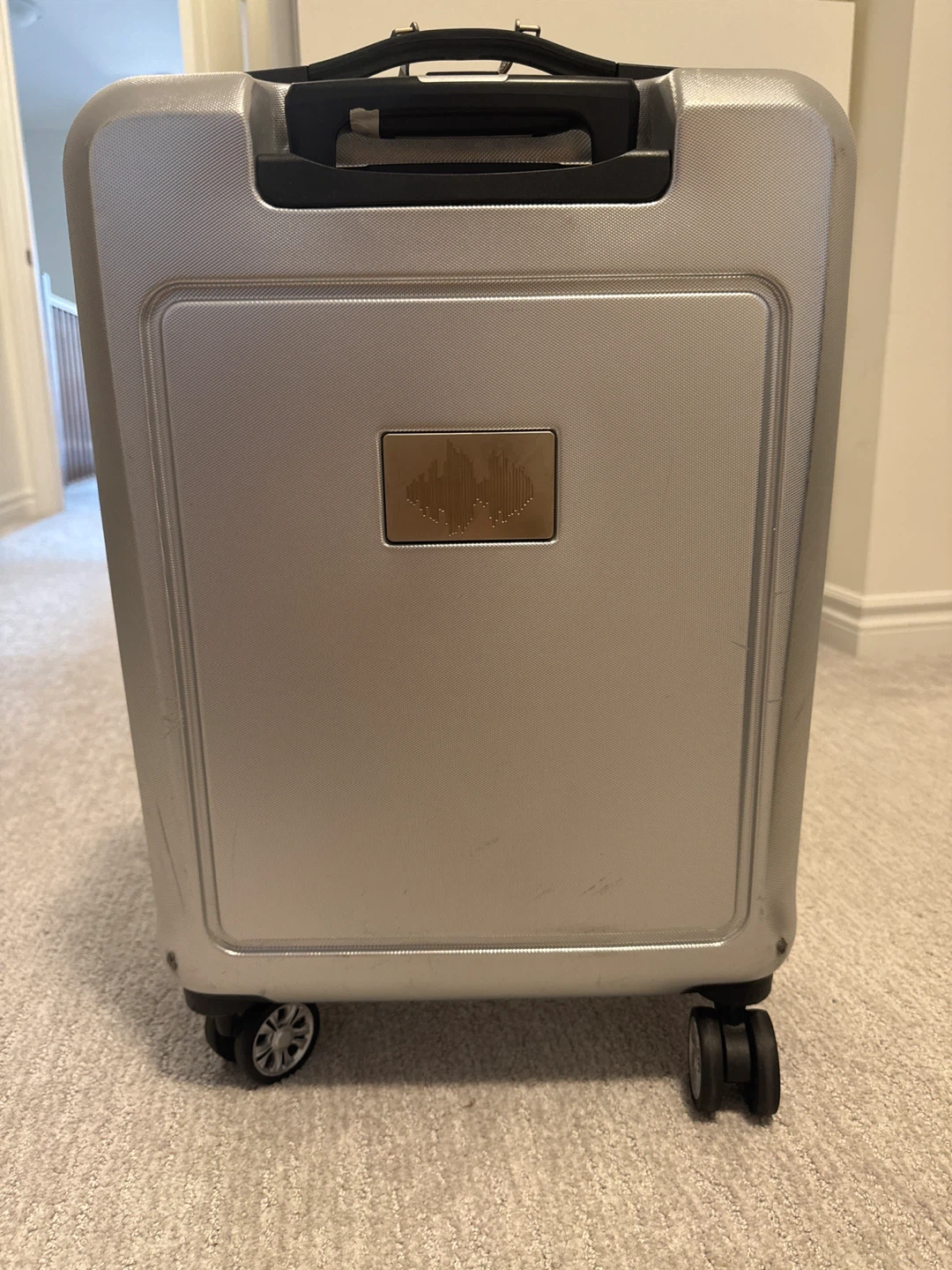 Celine Dion Silver Luggage - photo 4
