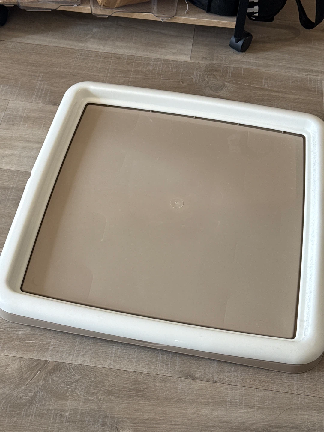 Pet Potty Training Tray