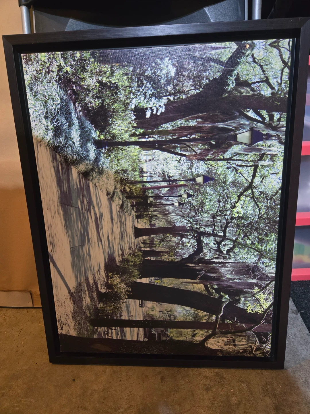Framed Canvas Print of a Tree Lined Path with Lamps