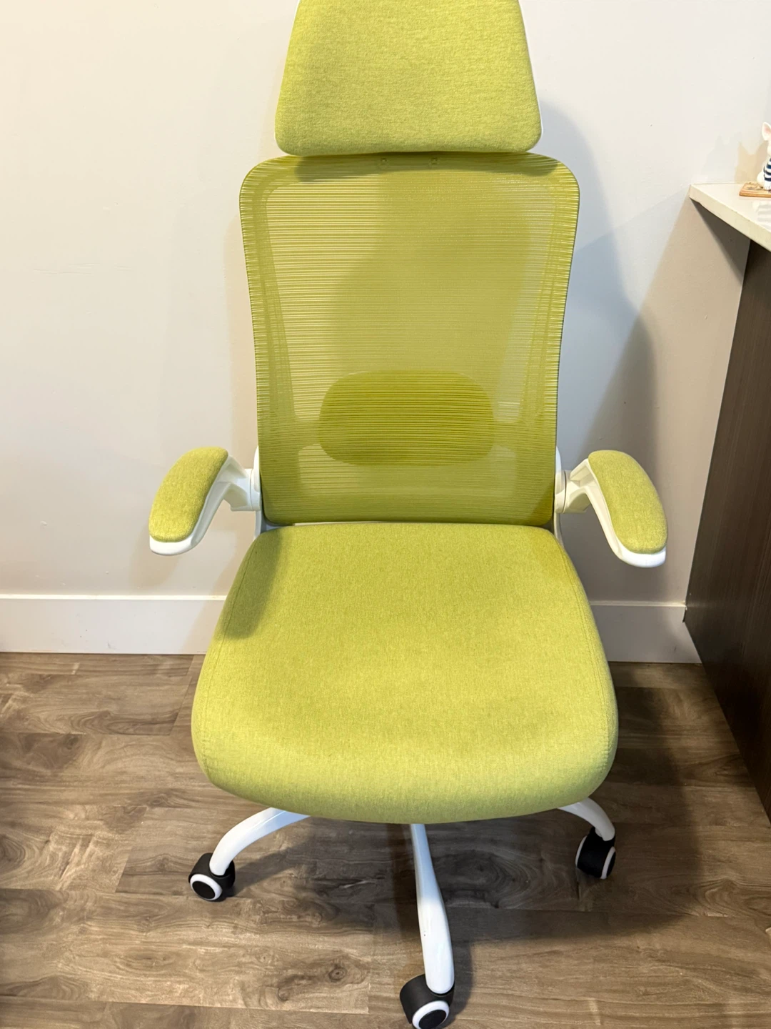 Ergonomic High-Back Office Chair — Green & White