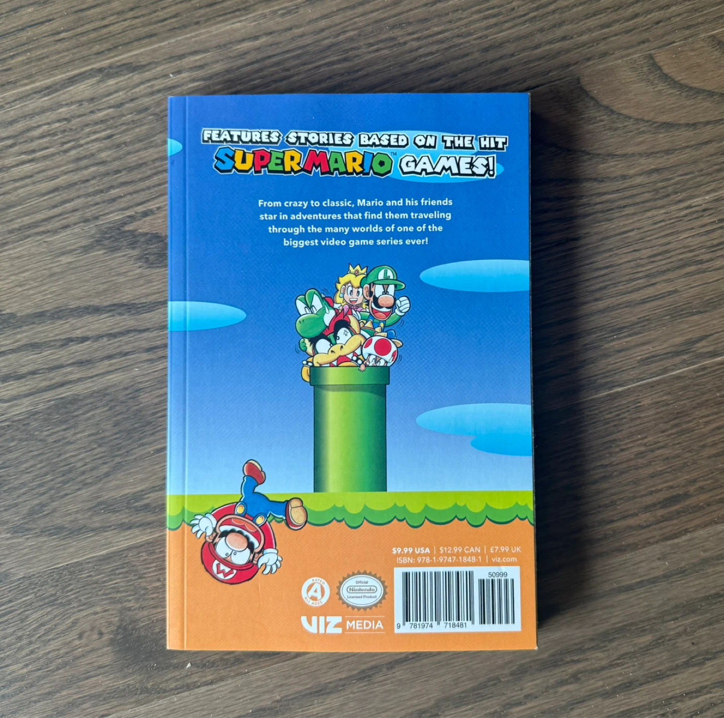 Super Mario Adventures Graphic Novel
