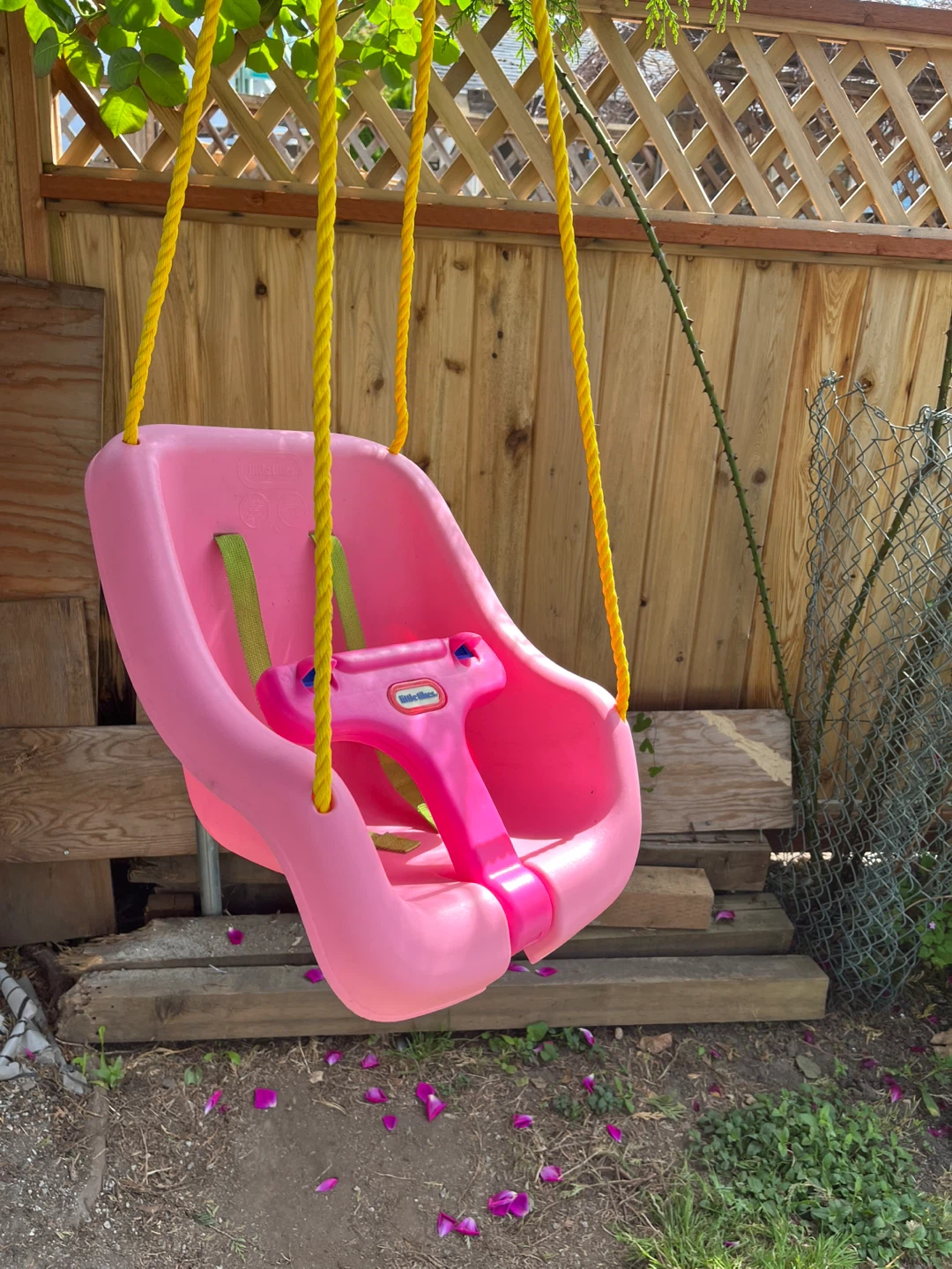 Little Tikes Pink Infant Swing Seat with Harness - photo 3