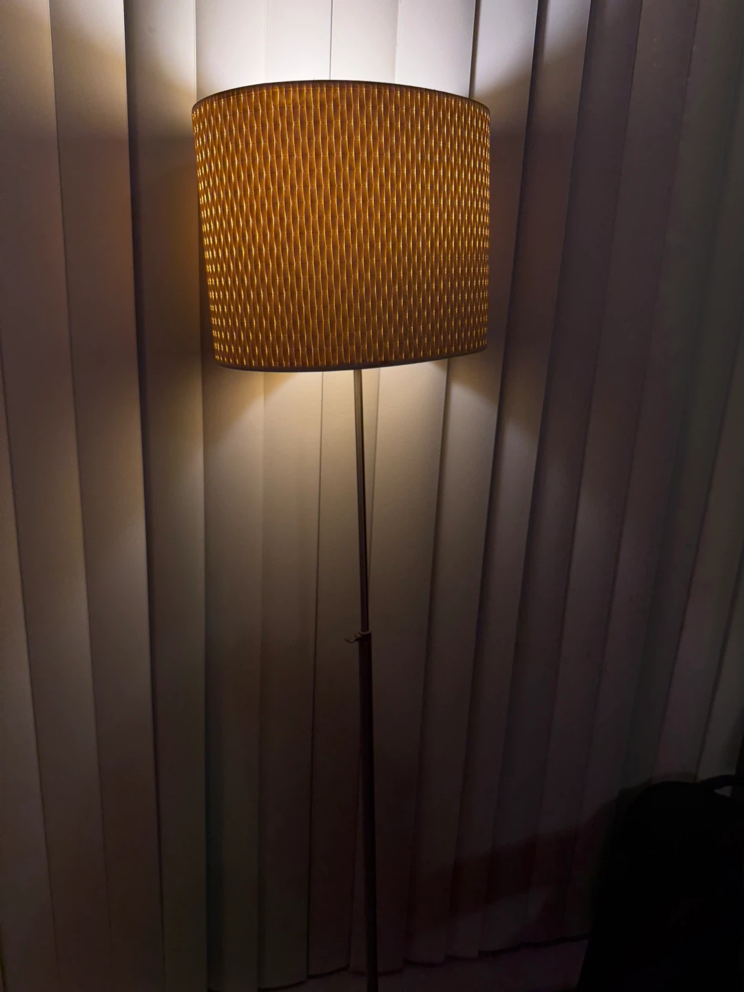 Floor Lamp with Drum Shade
