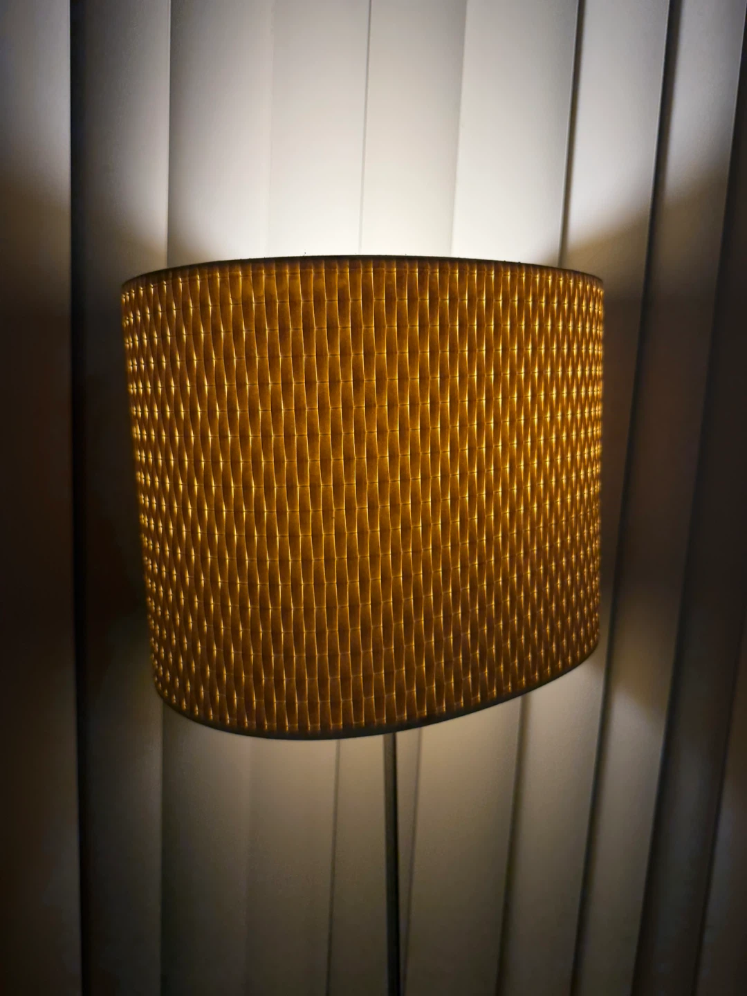 Floor Lamp with Drum Shade - photo 3