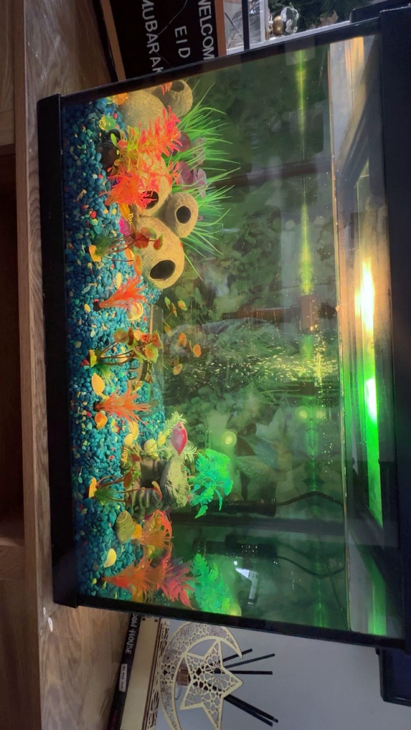Aqueon Aquarium including fish
