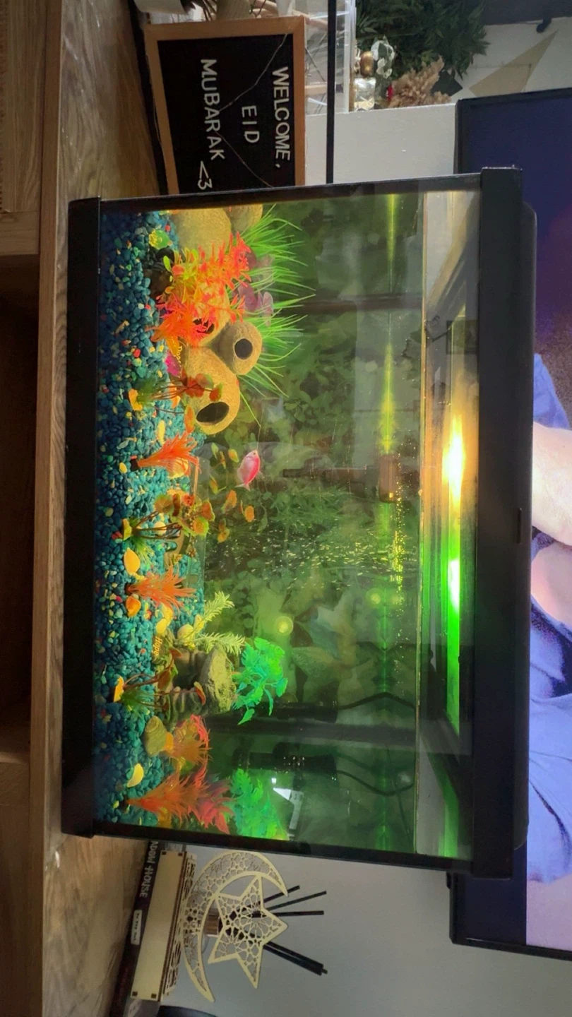 Aqueon Aquarium including fish - photo 2