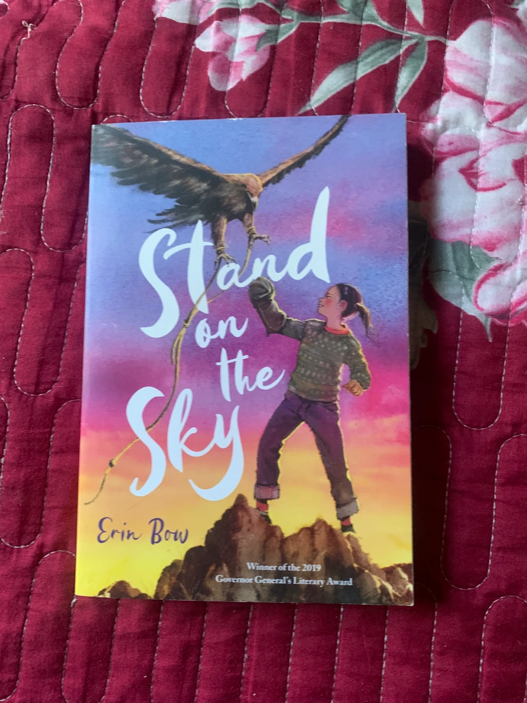 Stand on the Sky by Erin Bow