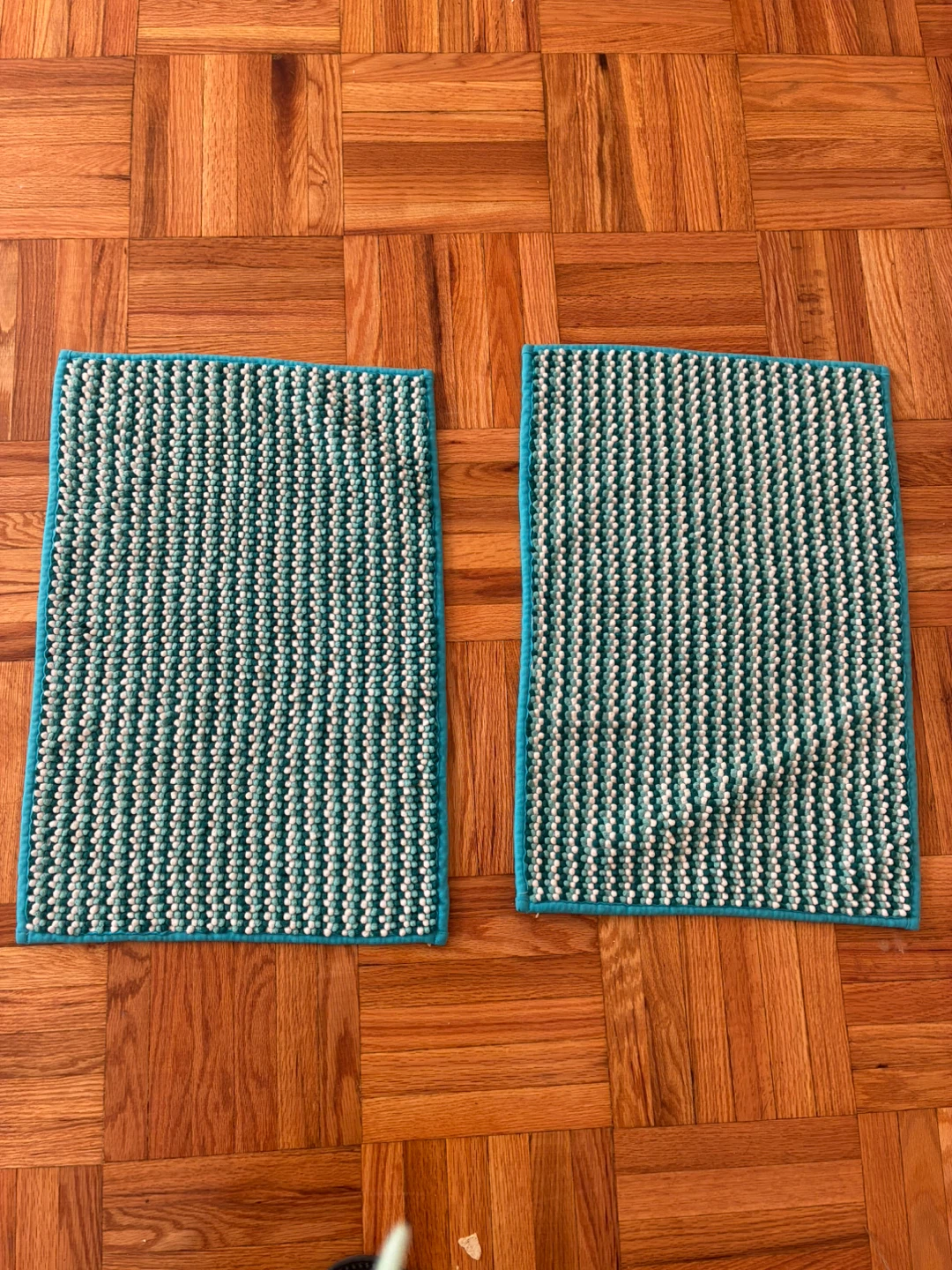 Set of 2 Teal and White Bath Mats