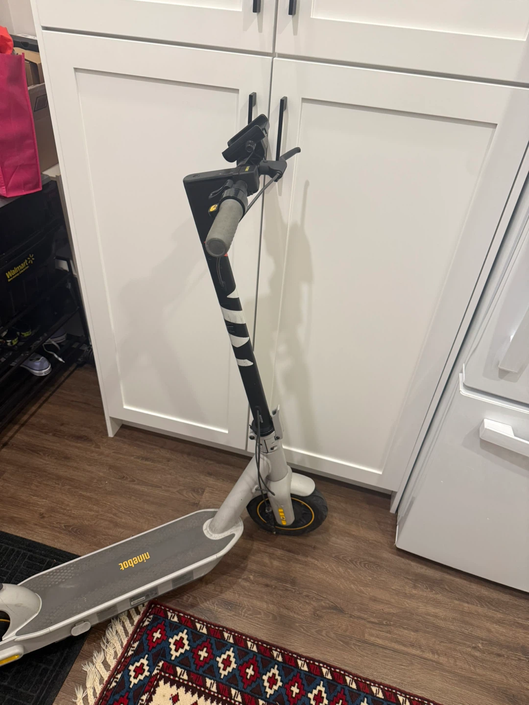 Ninebot Electric KickScooter