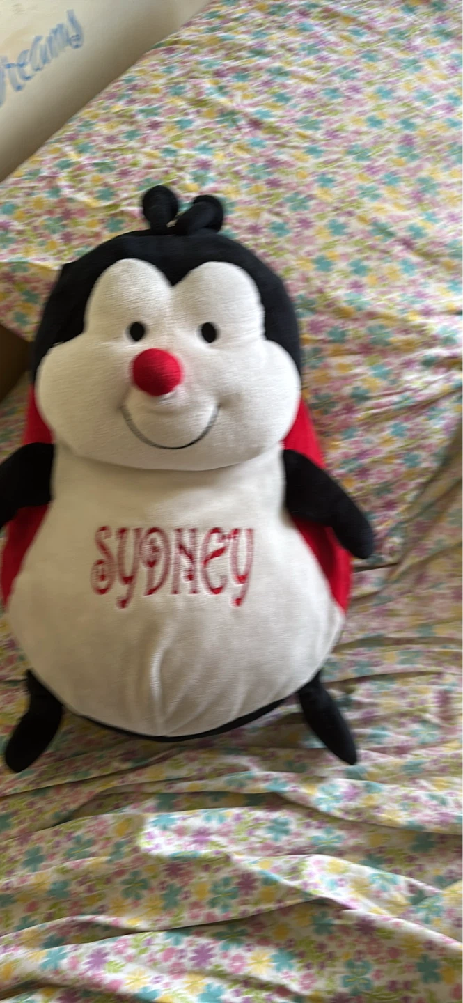 Personalized Ladybug Plush Toy - Sydney