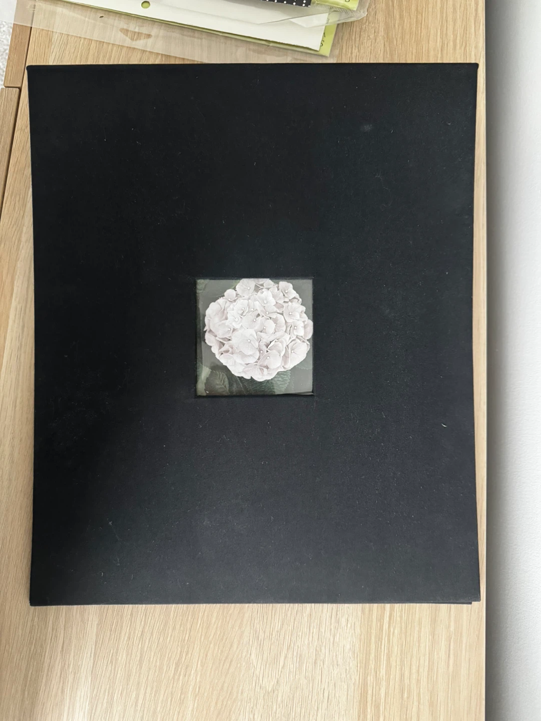 Scrapbook Refill Pages & Album