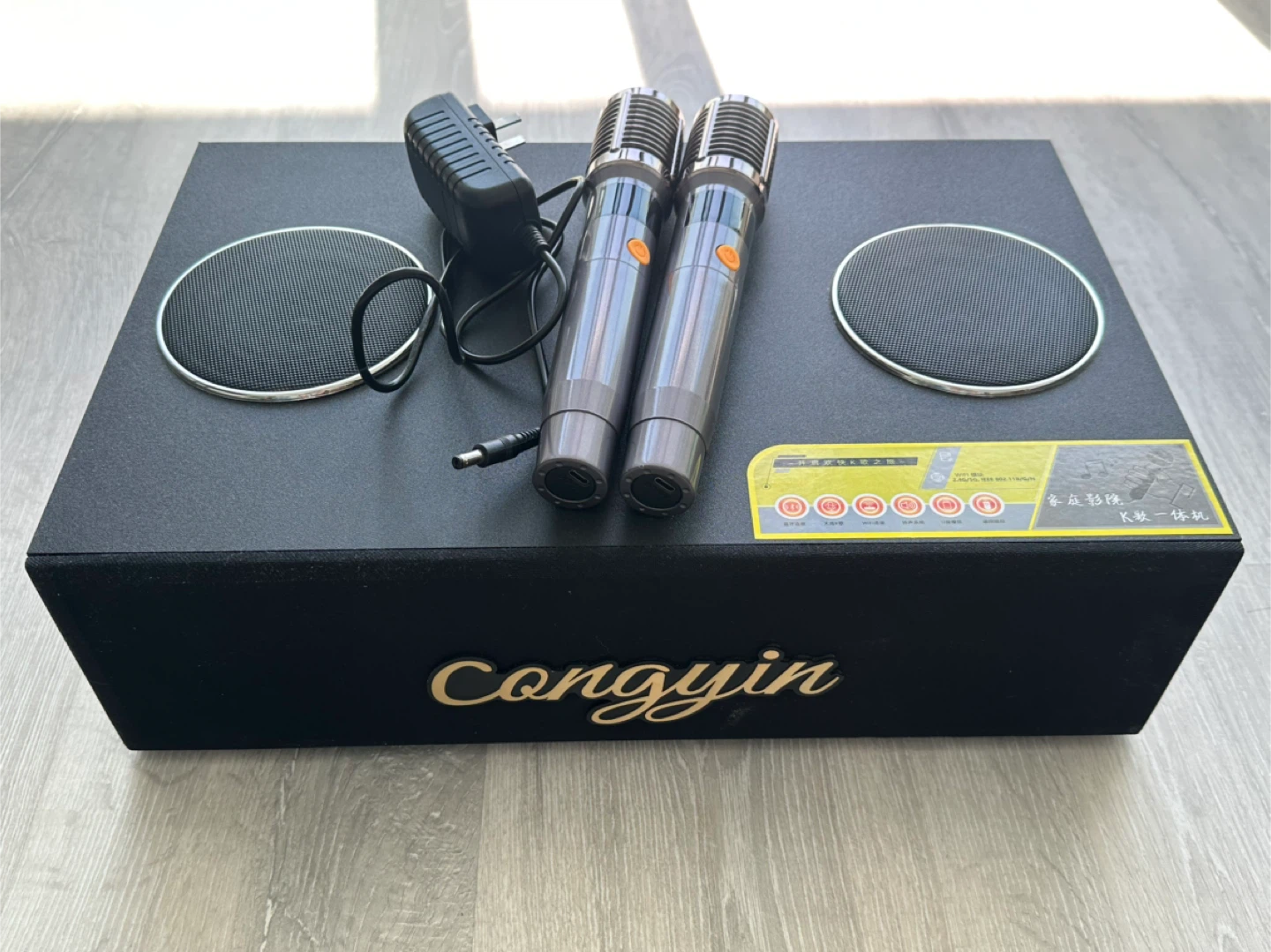 Congyin Portable Karaoke Speaker System with 2 Microphones