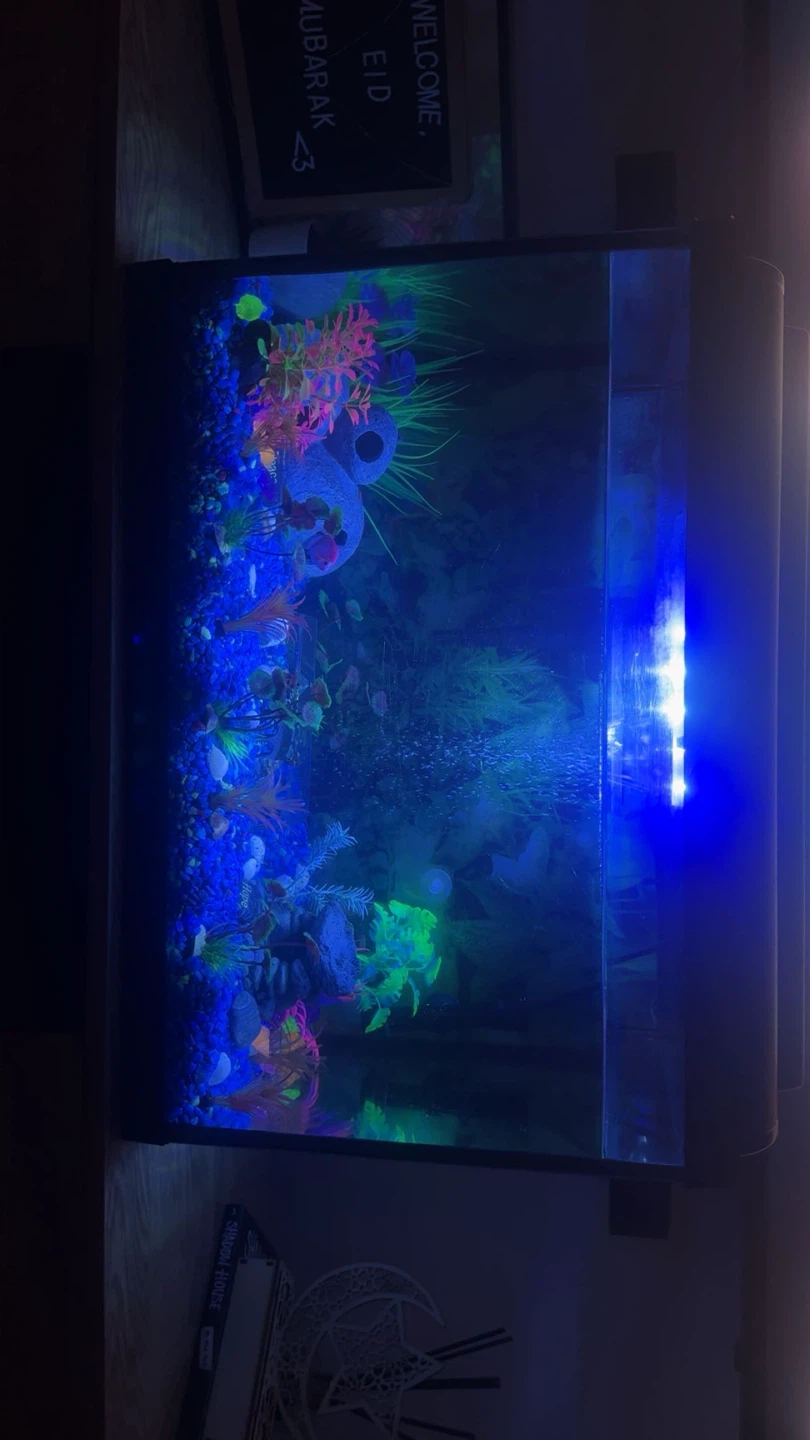 Aqueon Aquarium including fish - photo 2